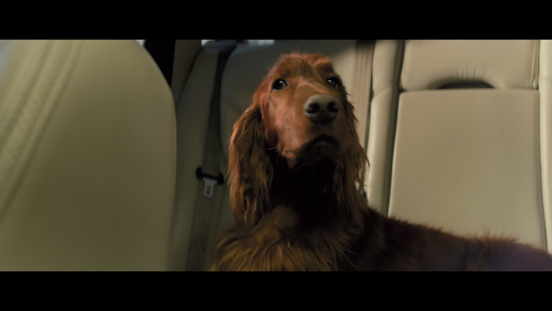 Постер трейлера