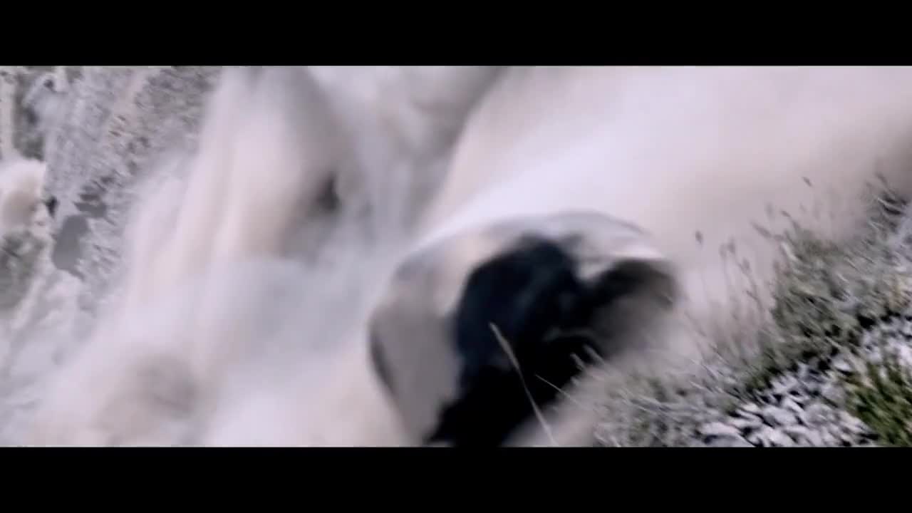 Постер трейлера