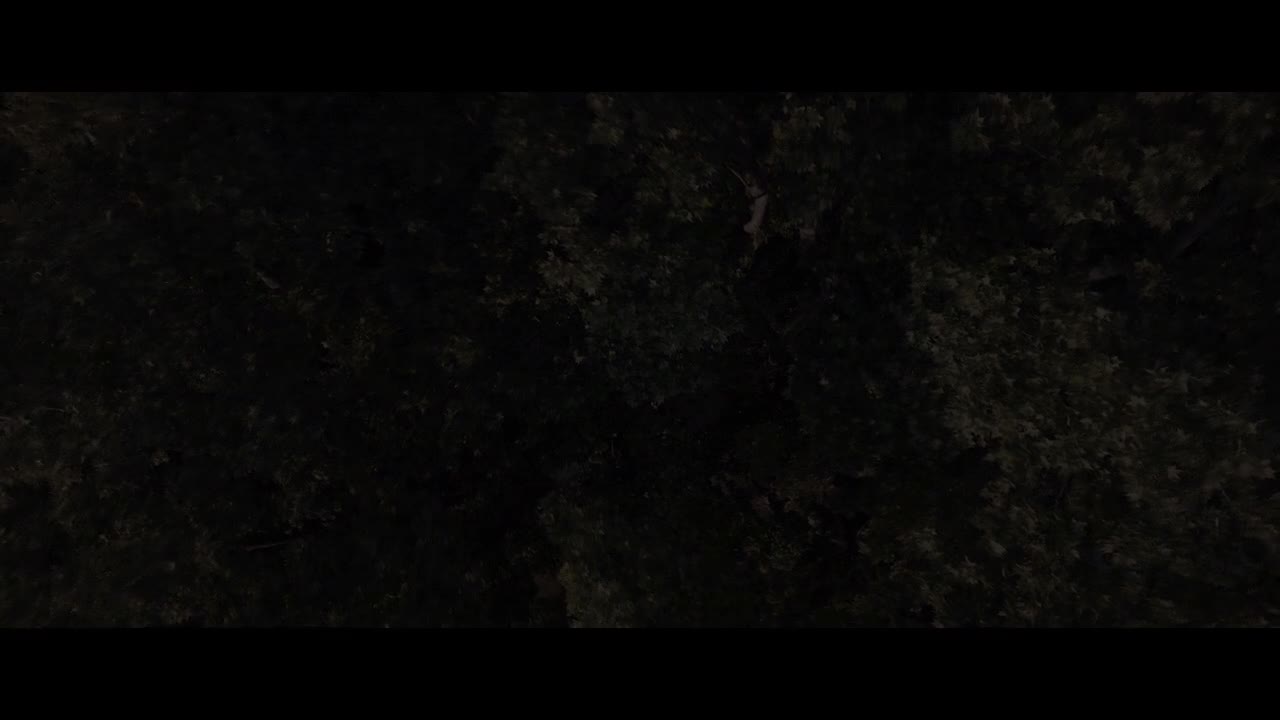 Постер трейлера